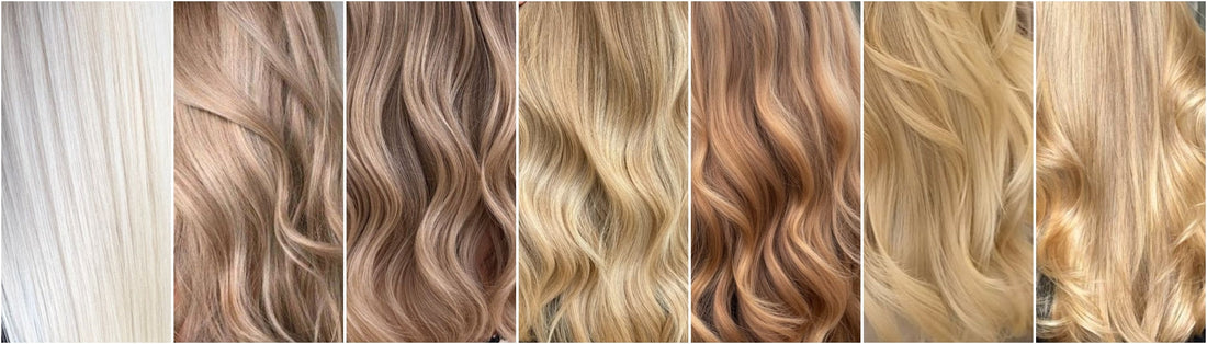 différentes teintes de blond 