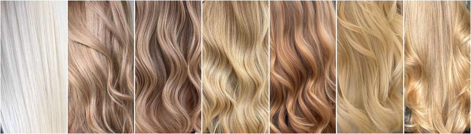 différentes teintes de blond 