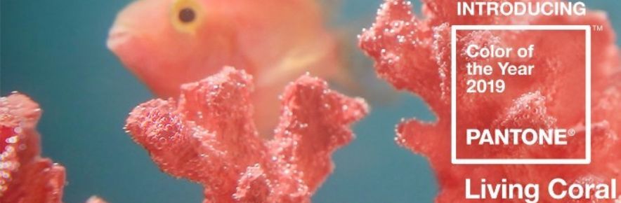 Le corail, la couleur Pantone de 2019