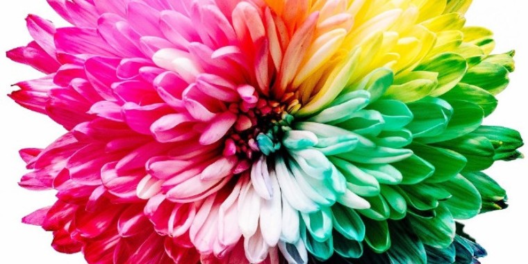 la colorimétrie en coiffure