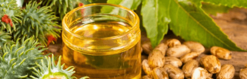 Huile de ricin, comment l’utiliser ?