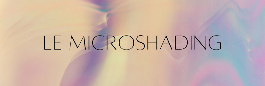 Qu'est-ce que le microshading ?