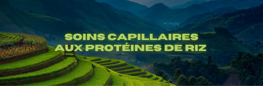 soin proteine de riz