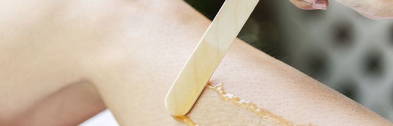 Cat spatule.jpg