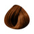 Coloration Soin Réalité Augmentée Revlonissimo Colorsmetique
