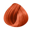 Coloration Brillance Intense KINGLOSS Color