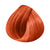 Coloration Brillance Intense KINGLOSS Color