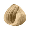 Root Touch-Up Spray