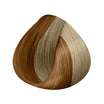 Ring Extensions 10 Strands 40/45cm