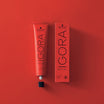 Igora Royal High Definition Permanent Color Creme