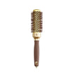 Expert Blowout Shine Gold & Brown Brush
