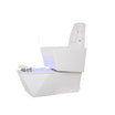 GENTLE Pedicure Chair with White 2-Motor Footbath