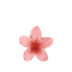 Pince à Cheveux Fleur Tropicale