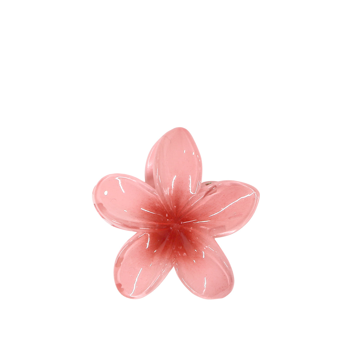 Pince à Cheveux Fleur Tropicale