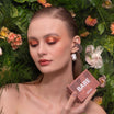 BARE HARMONY Eyeshadow Palette