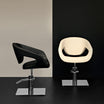 STRIPTEASE barber's chair