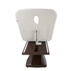 Eden Electric Massage Table