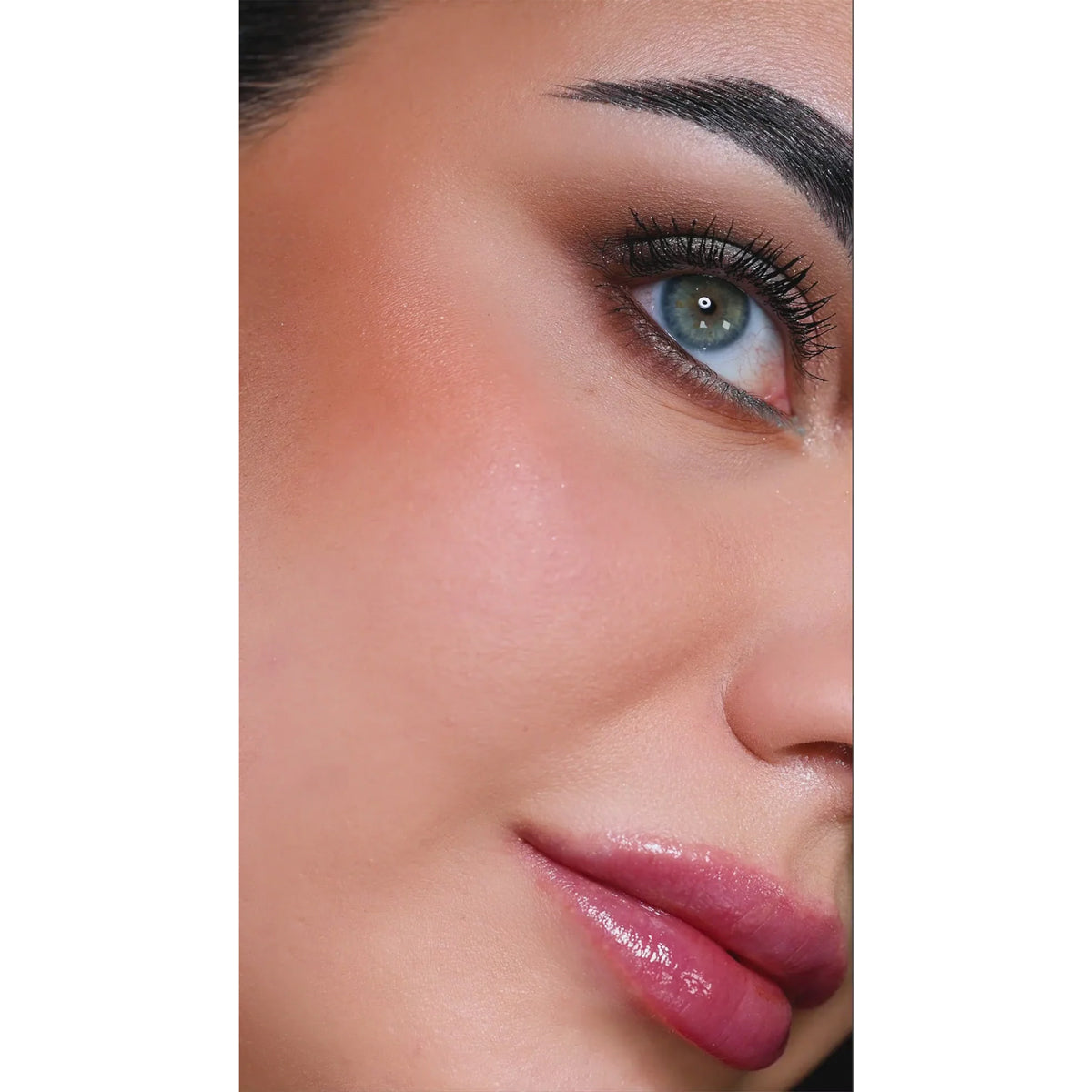Private Dream Blush + Bronzer Face Palette