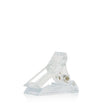 Capsule holding clip