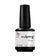 Primer Sculpting+