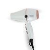 OH MY GOLD! Professional Hair Dryer